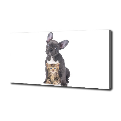 Wandbild Hund und Katze