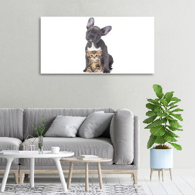 Wandbild Hund und Katze