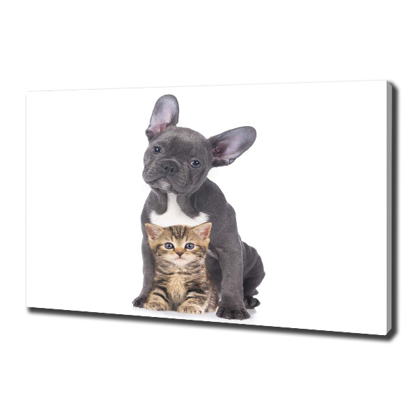 Wandbild Hund und Katze
