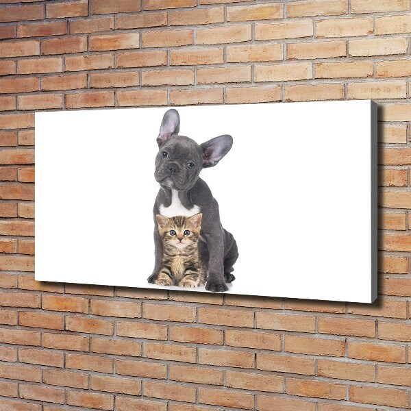 Wandbild Hund und Katze