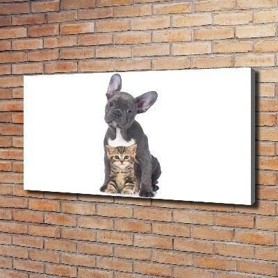 Wandbild Hund und Katze