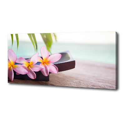Fotobild Plumeria