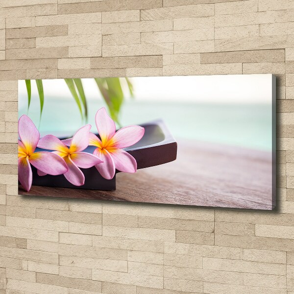 Fotobild Plumeria