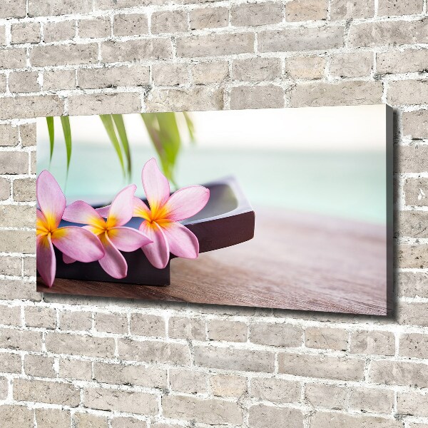 Fotobild Plumeria