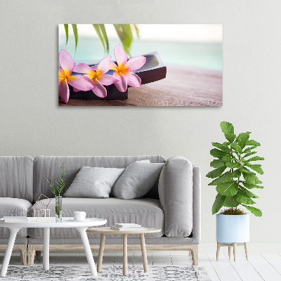 Fotobild Plumeria