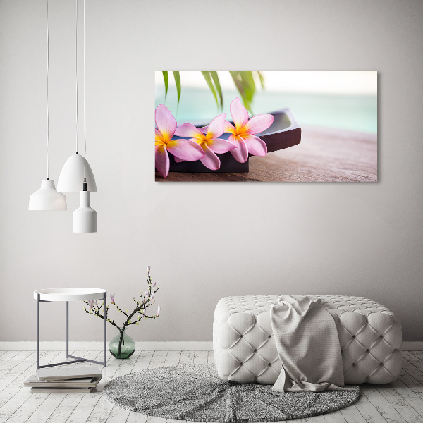 Fotobild Plumeria
