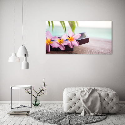Fotobild Plumeria