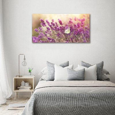 Bild auf leinwand Lavendel