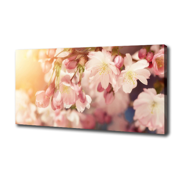 Wandbild Kirschblüten