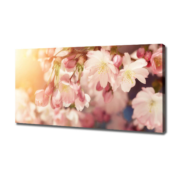 Wandbild Kirschblüten