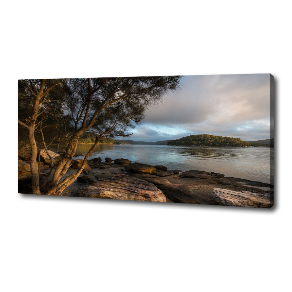 Fotobild Ein Baum am Fluss