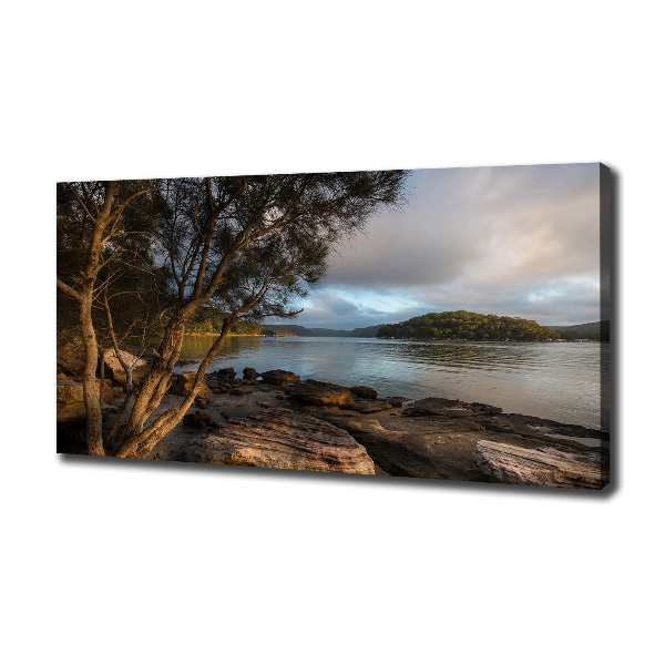 Fotobild Ein Baum am Fluss