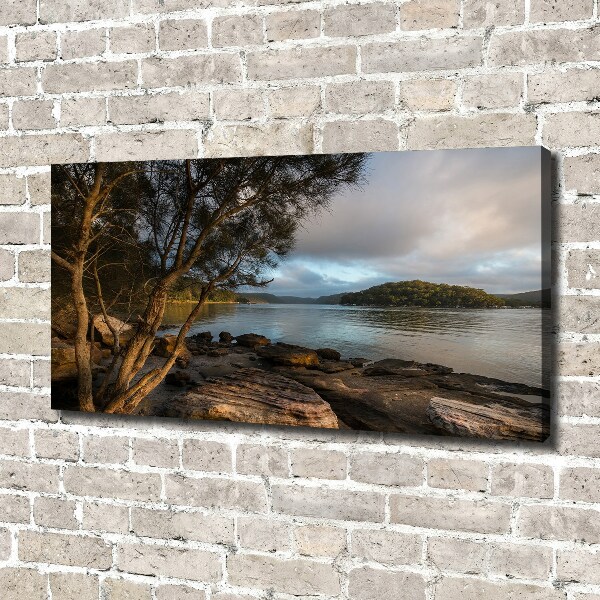 Fotobild Ein Baum am Fluss