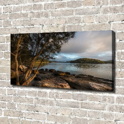 Fotobild Ein Baum am Fluss