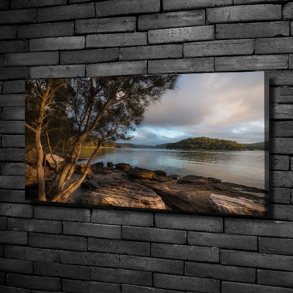 Fotobild Ein Baum am Fluss