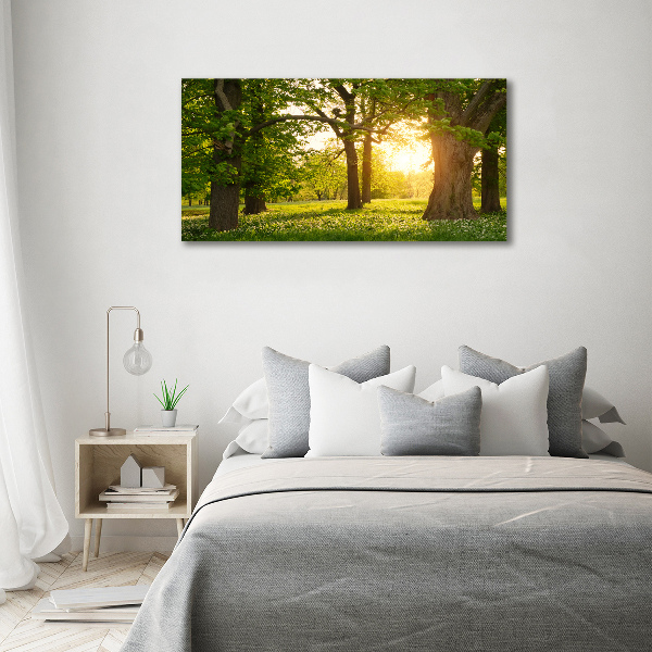 Bild auf leinwand Bäume im Park