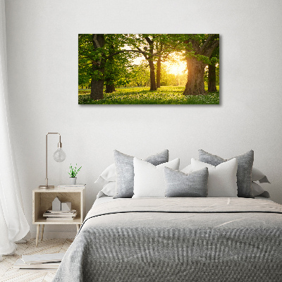 Bild auf leinwand Bäume im Park