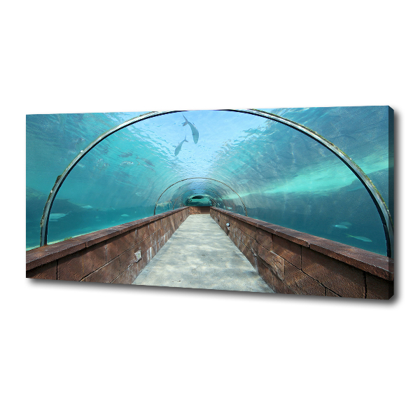 Fotobild Aquariumtunnel