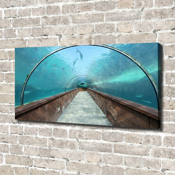 Fotobild Aquariumtunnel