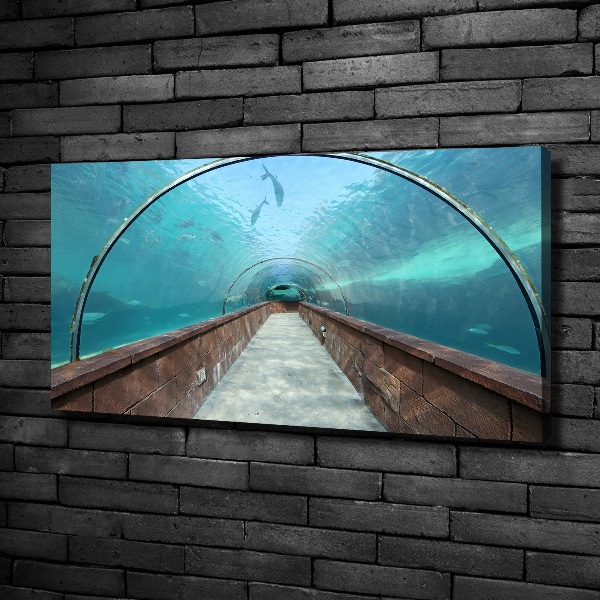Fotobild Aquariumtunnel