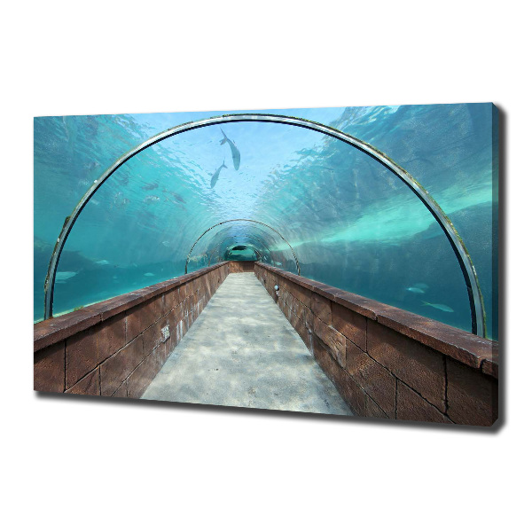 Fotobild Aquariumtunnel
