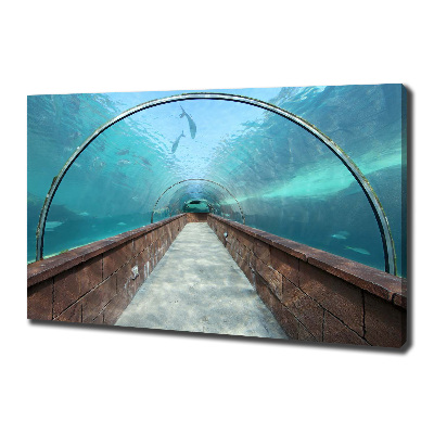 Fotobild Aquariumtunnel