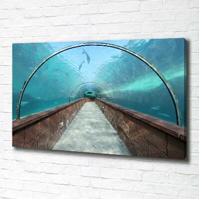 Fotobild Aquariumtunnel