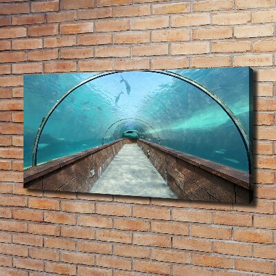 Fotobild Aquariumtunnel