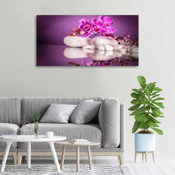 Fotobild Rosa Orchidee