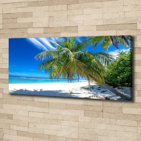 Bild auf leinwand Tropischer Strand