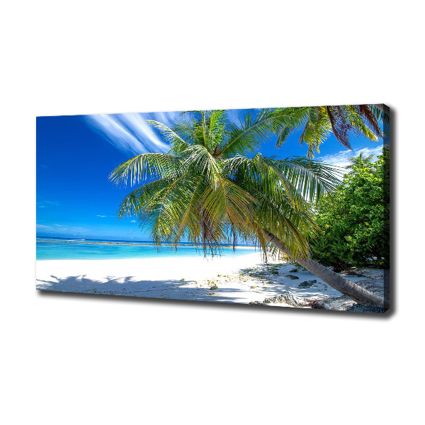 Bild auf leinwand Tropischer Strand