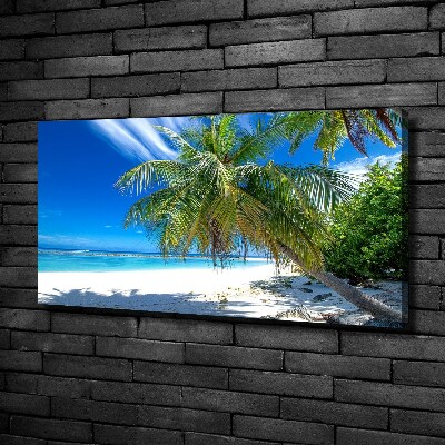 Bild auf leinwand Tropischer Strand