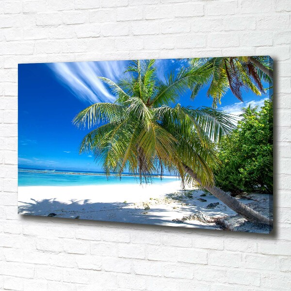 Bild auf leinwand Tropischer Strand