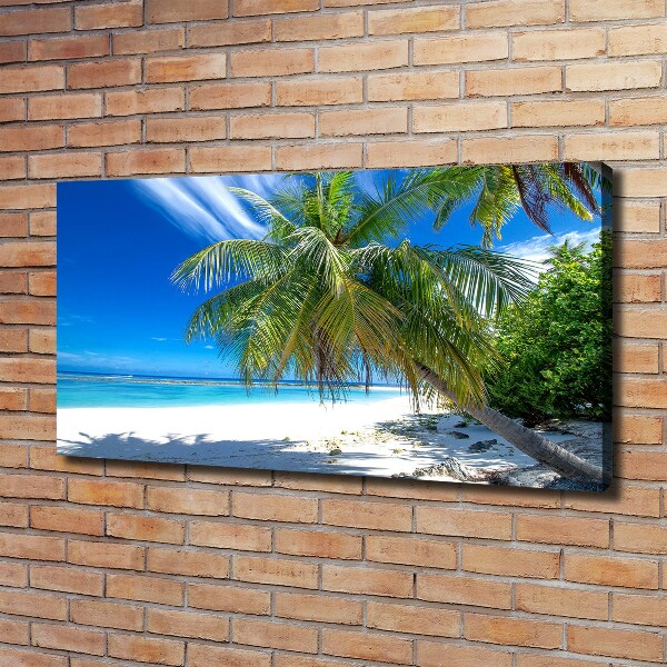 Bild auf leinwand Tropischer Strand