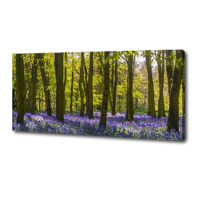 Fotobild Wald im Frühling