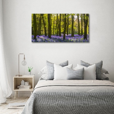 Fotobild Wald im Frühling