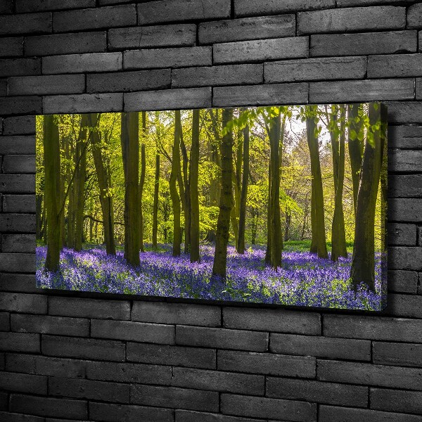Fotobild Wald im Frühling
