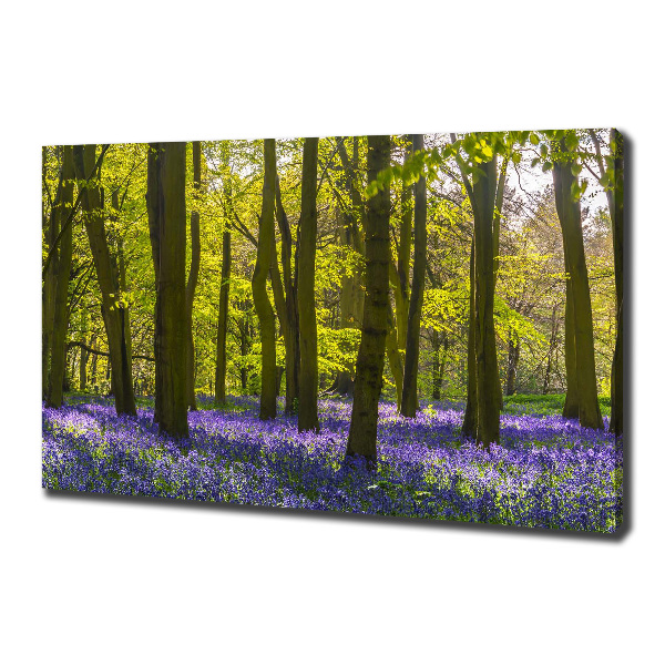 Fotobild Wald im Frühling