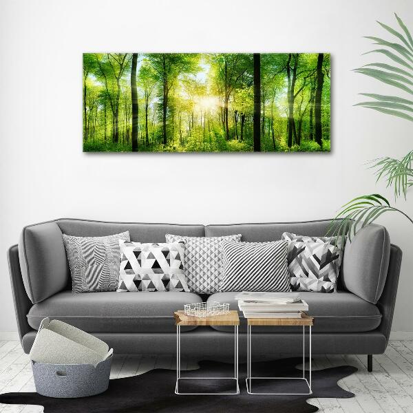 Bild auf leinwand Wald in der Sonne