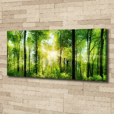 Bild auf leinwand Wald in der Sonne