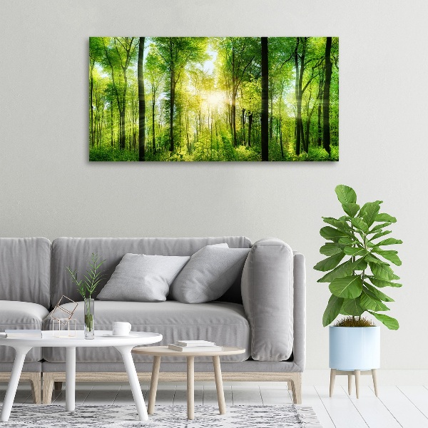 Bild auf leinwand Wald in der Sonne