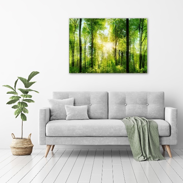 Bild auf leinwand Wald in der Sonne