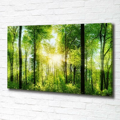 Bild auf leinwand Wald in der Sonne