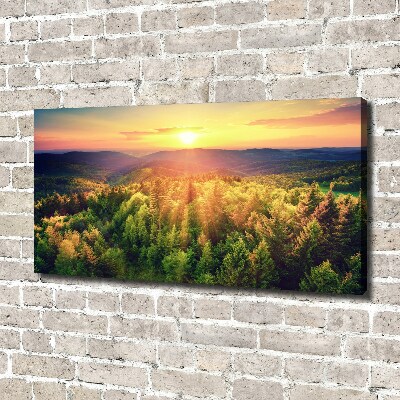 Wandbild Sonnenuntergang im Wald