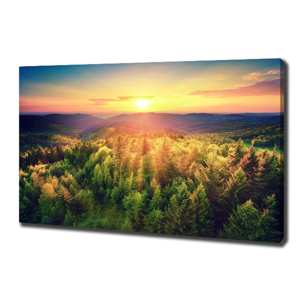 Wandbild Sonnenuntergang im Wald