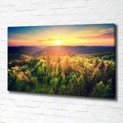 Wandbild Sonnenuntergang im Wald
