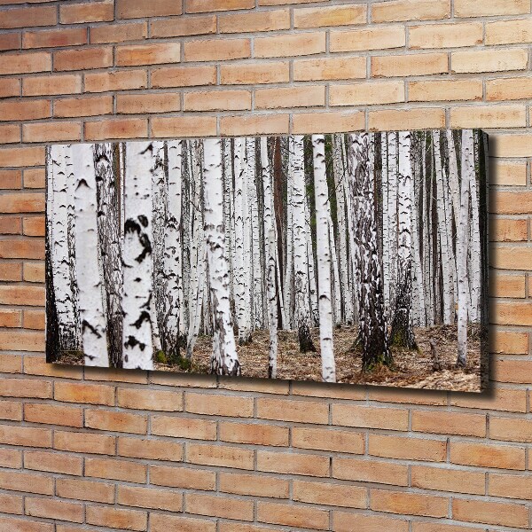 Bild auf leinwand Birke