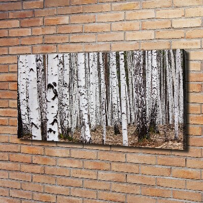 Bild auf leinwand Birke
