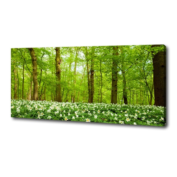 Fotobild Blumen im Wald