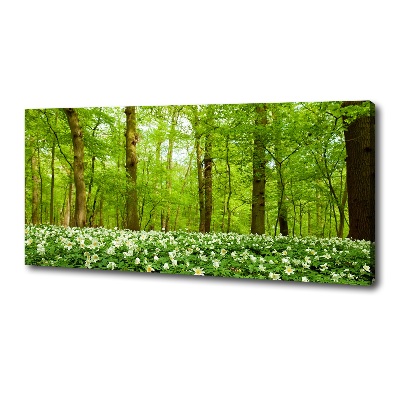 Fotobild Blumen im Wald